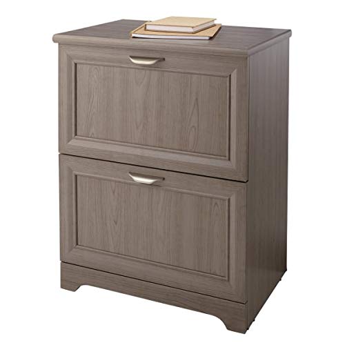 Realspace-Magellan-24W-2-Drawer-Lateral-File-Cabinet-Gray-B07Z81P5YZ